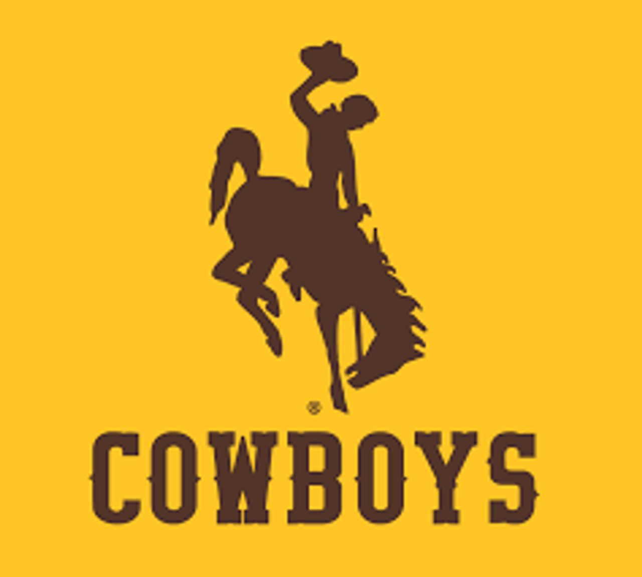 Wyoming Cowboys